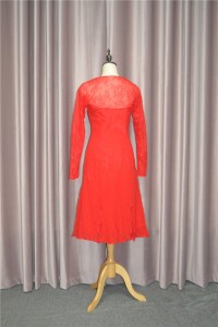 Sexy Short Red Chiffon Lace Nina Dobrev Hollywood Red Carpet Celebrity Dress