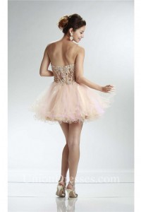 Ball Sweetheart See Through Short Champagne And Pink Tulle Layered Prom Dress