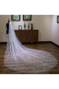Gorgeous Sparkly Wedding Bridal Cathedral Veil